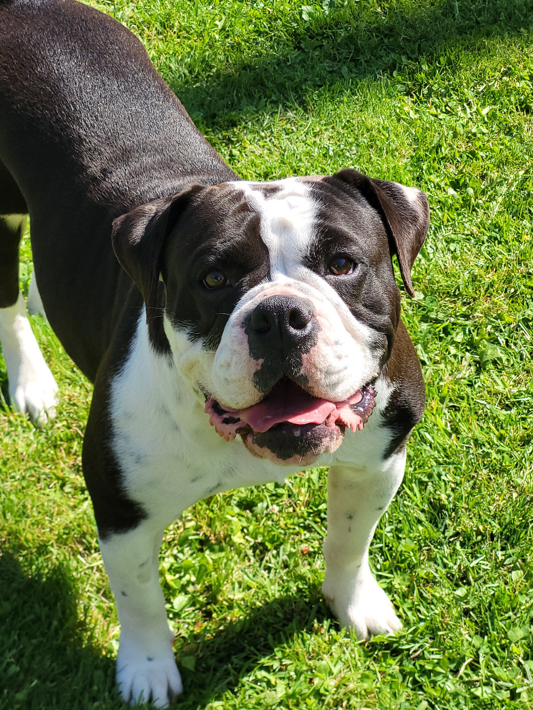 Twinpeacks du sixième sens du sixieme sens